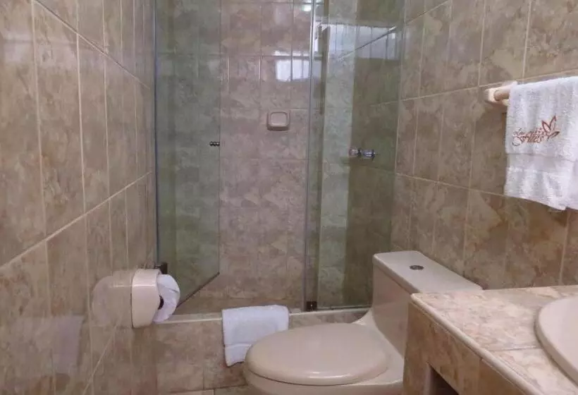 Fotos del hotel Las Flores:  7