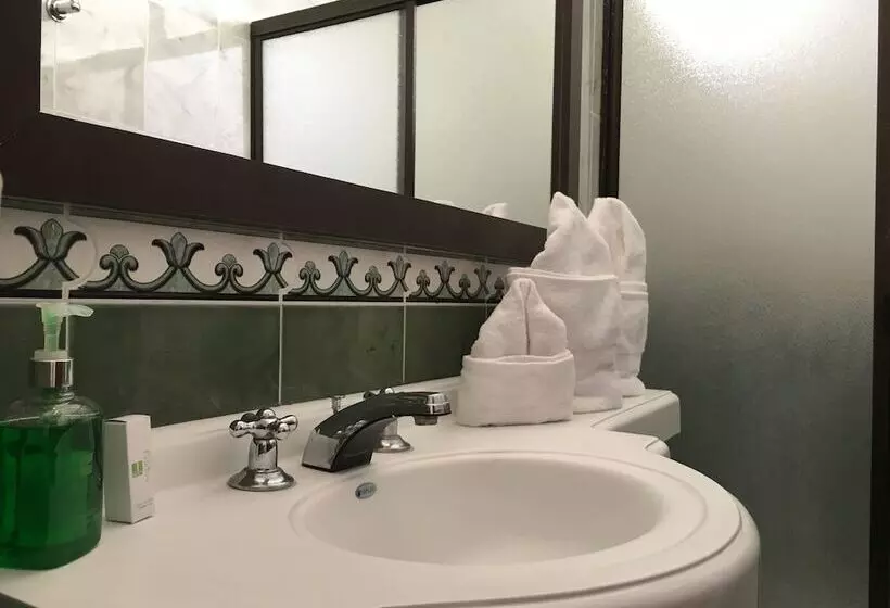 Fotos del hotel Regine S Manizales:  11