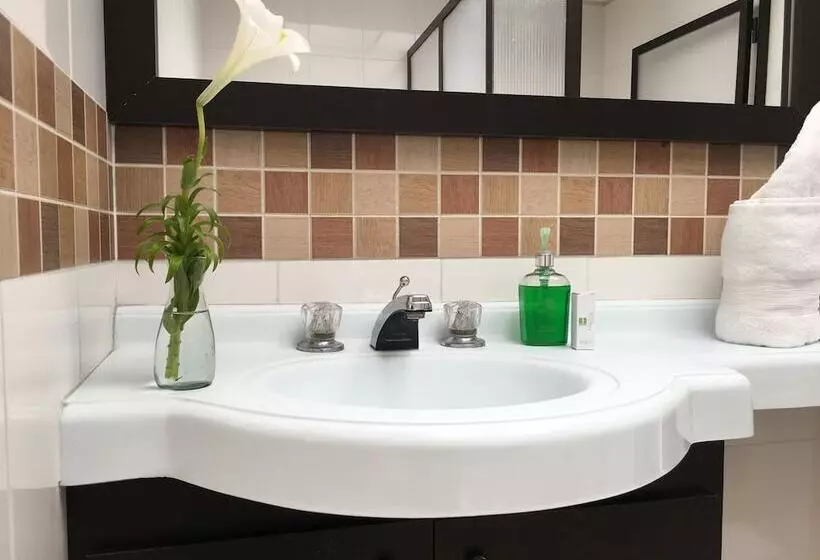 Fotos del hotel Regine S Manizales:  16