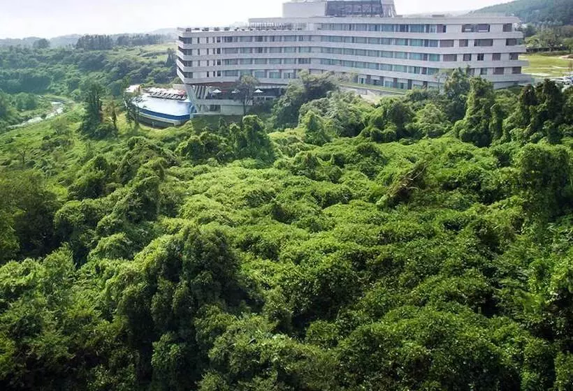 Fotos del hotel Hidden Cliff  And Nature:  17