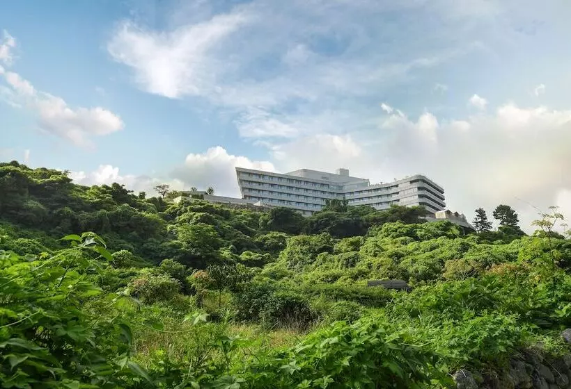 Fotos del hotel Hidden Cliff  And Nature:  8
