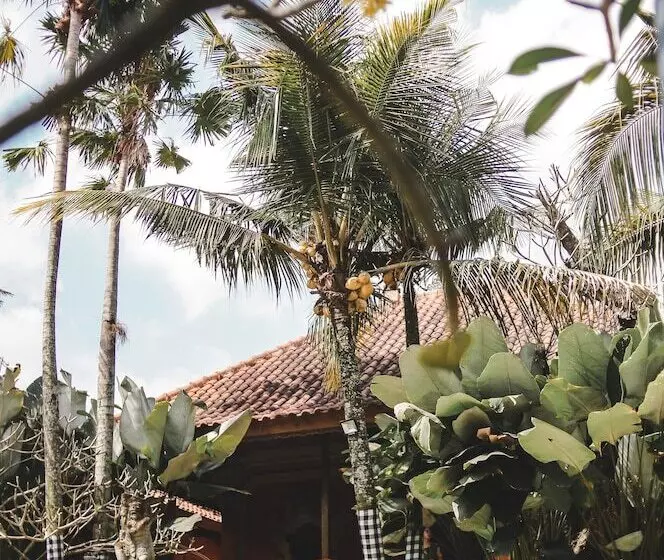 Fotos del hotel Ubud  & Cottages:  15