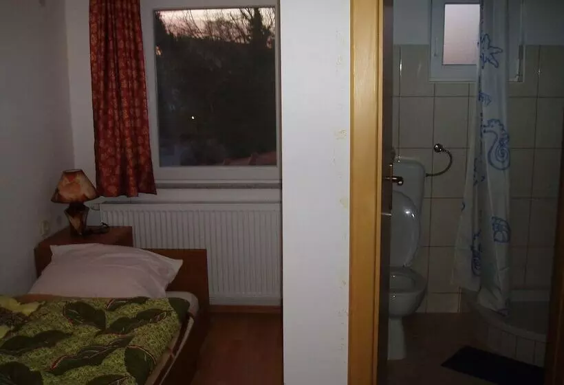 Fotos del hotel Pansion Rajic:  4