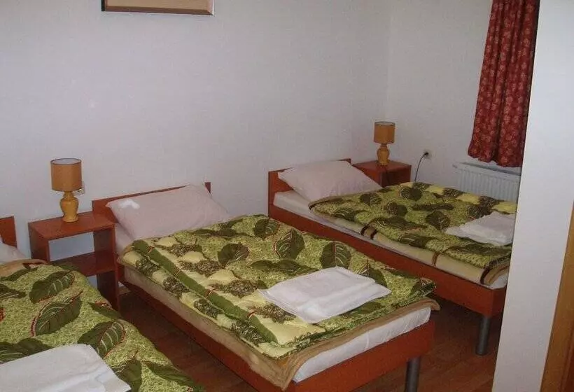 Fotos del hotel Pansion Rajic:  10