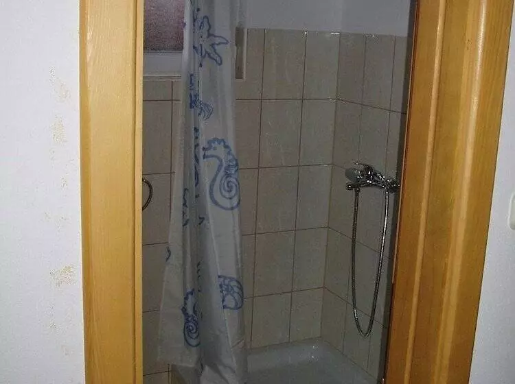 Fotos del hotel Pansion Rajic:  20