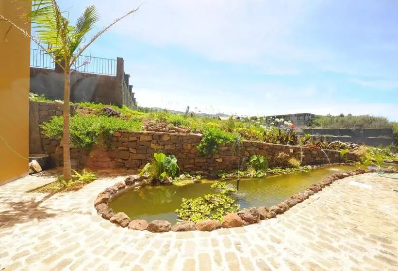 Fotos del hotel Residencial Farol:  23