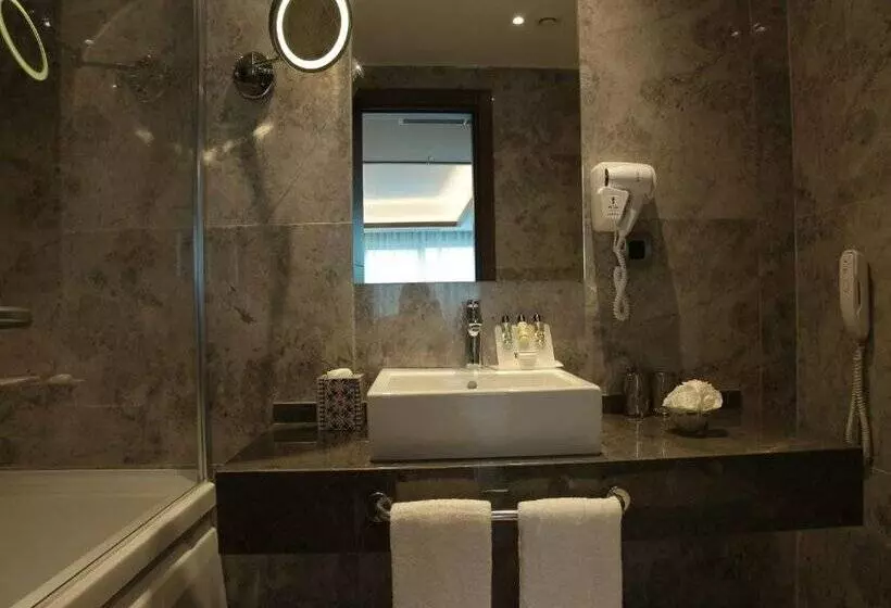 Fotos del hotel Bricks Airport Hotel Istanbul:  12
