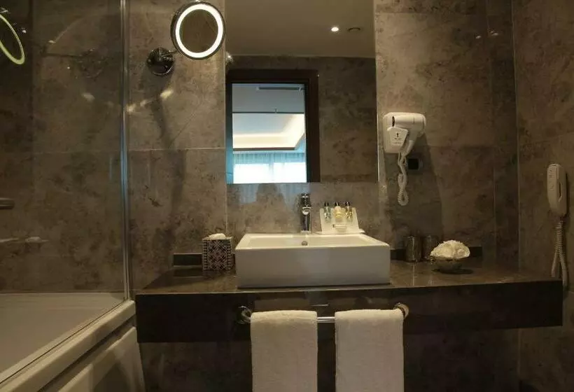 Fotos del hotel Bricks Airport Hotel Istanbul:  16