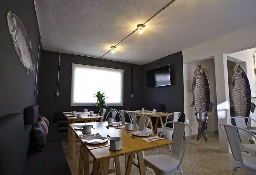 Fotos del hotel Mas Basico:  23