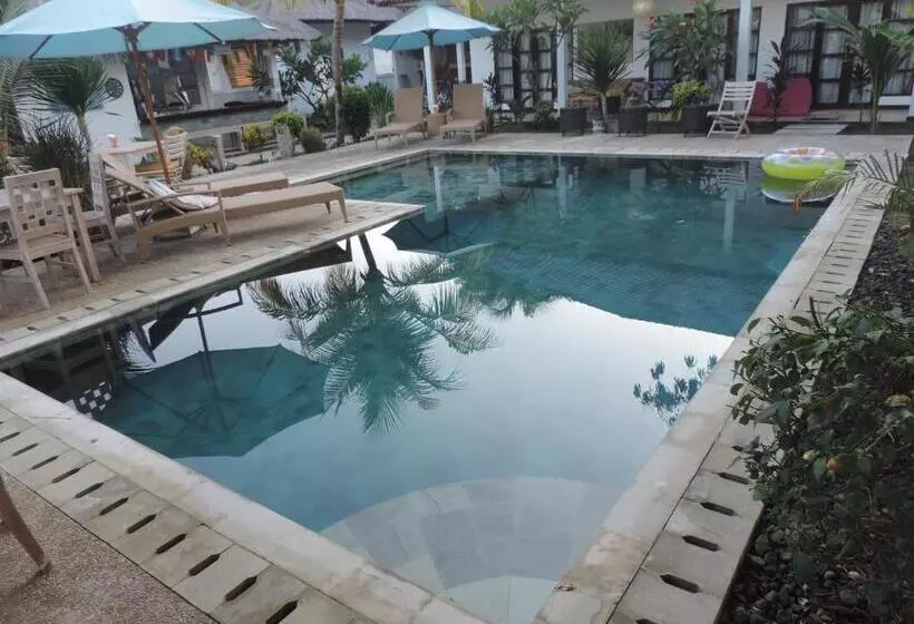 Fotos del hotel Casus Dream:  2