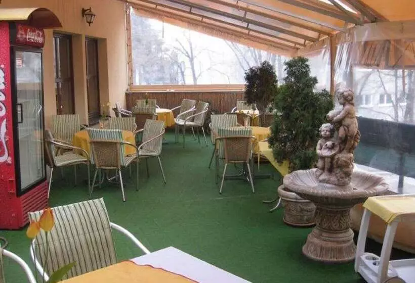 Fotos del hotel Oko:  5