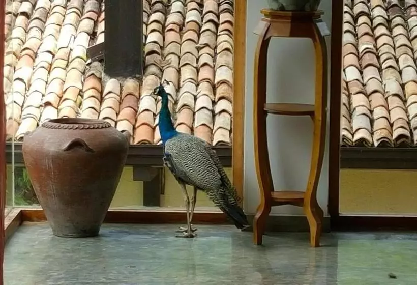 Fotos del hotel Highland Villa:  12