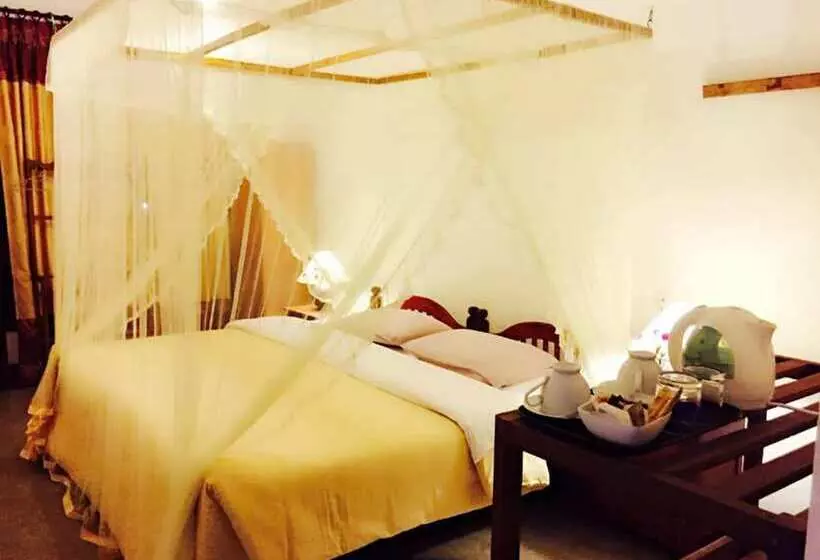Serenity Resort & Spa Serenity Resort & Spa