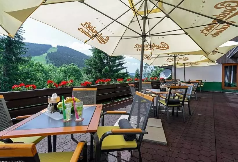 Fotos del hotel Park Harrachov:  6
