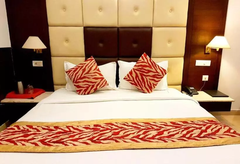 Fotos del hotel Sidharth:  20