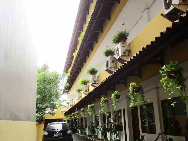 Fotos del hotel Maxim:  9