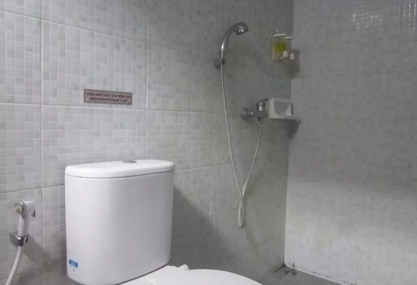 Fotos del hotel Barito:  4