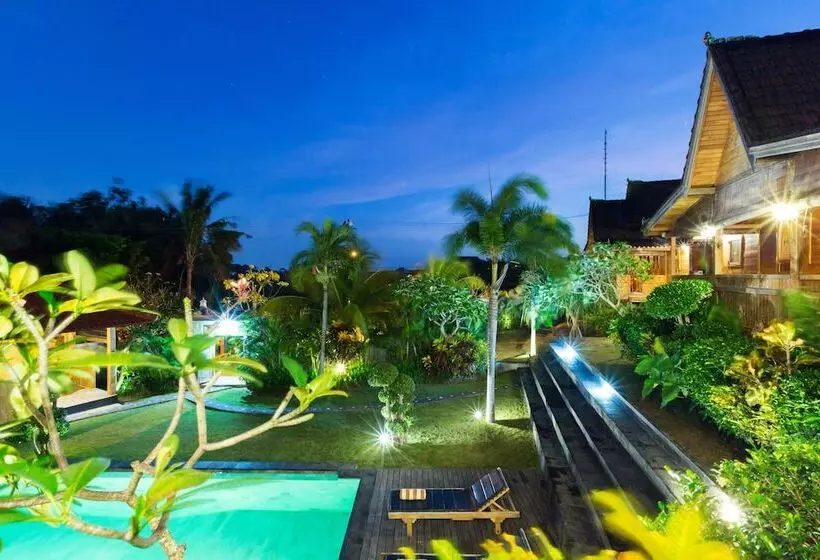 Fotos del hotel Dawas Villa:  1