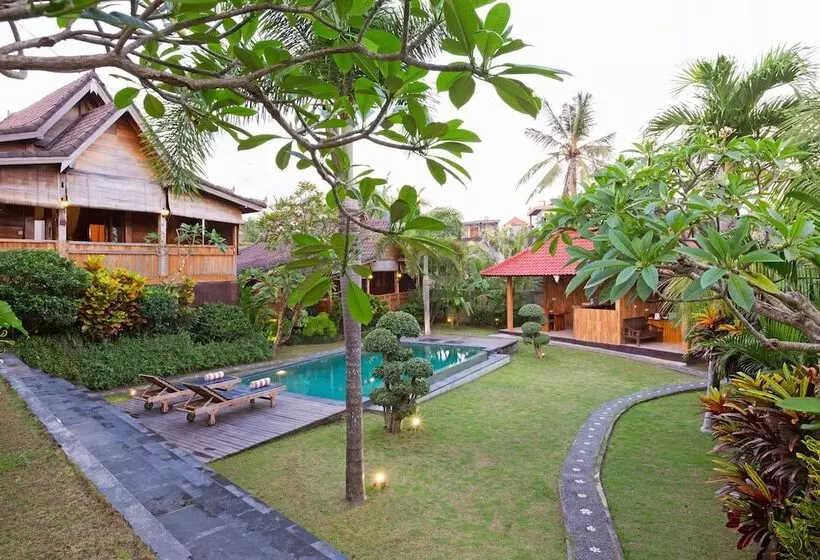 Fotos del hotel Dawas Villa:  21