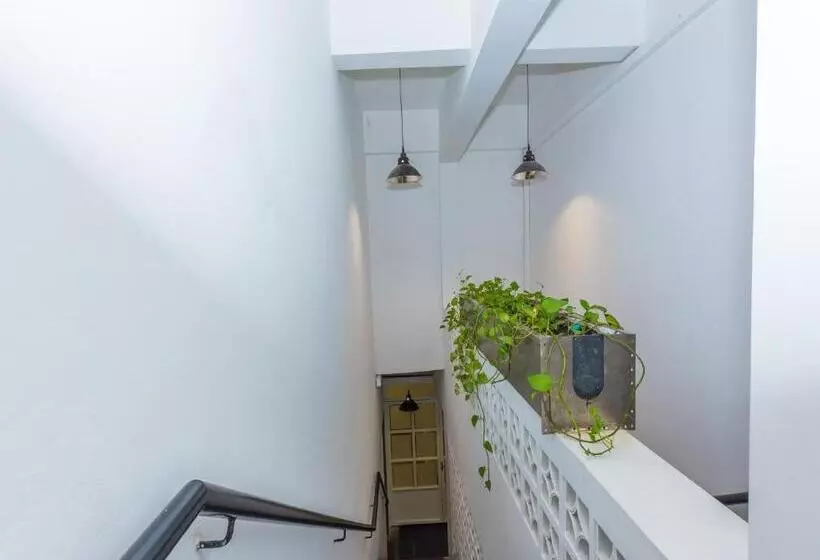 Fotos del hotel White Loft:  6