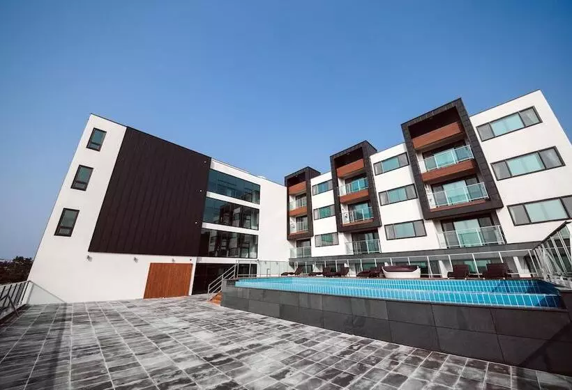 Sally S Jeju