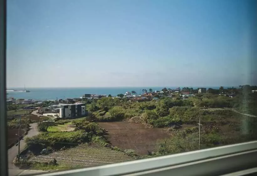 Fotos del hotel Sally S Jeju:  12