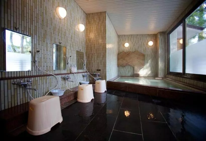 Fotos del hotel Phoenix  By Hakuba  Group:  2