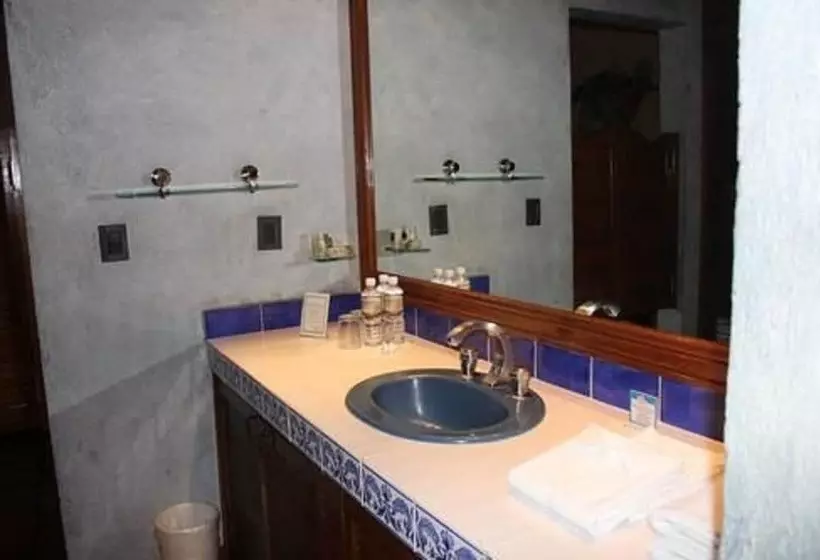 Fotos del hotel La Plaza De Tequisquiapan:  8