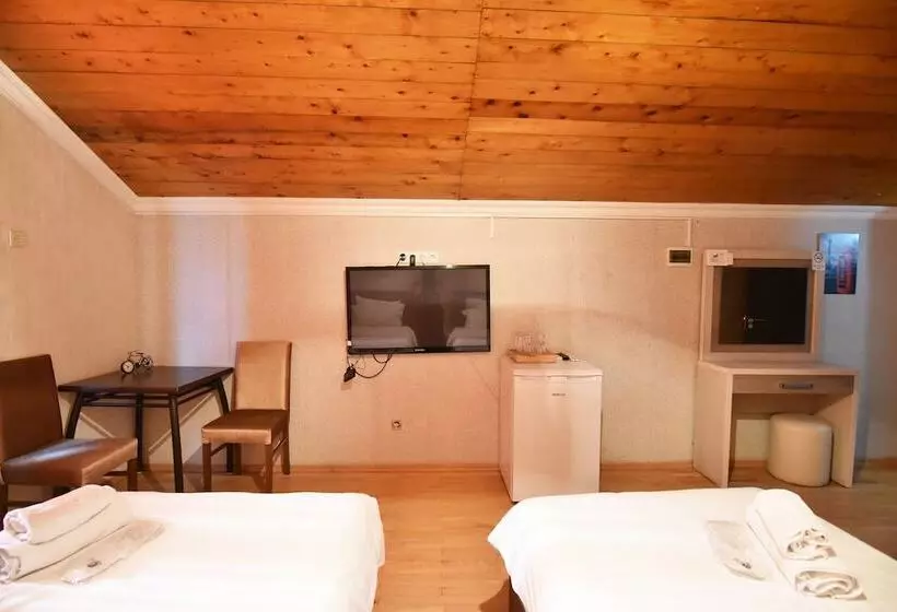 Fotos del hotel Hirmas:  12