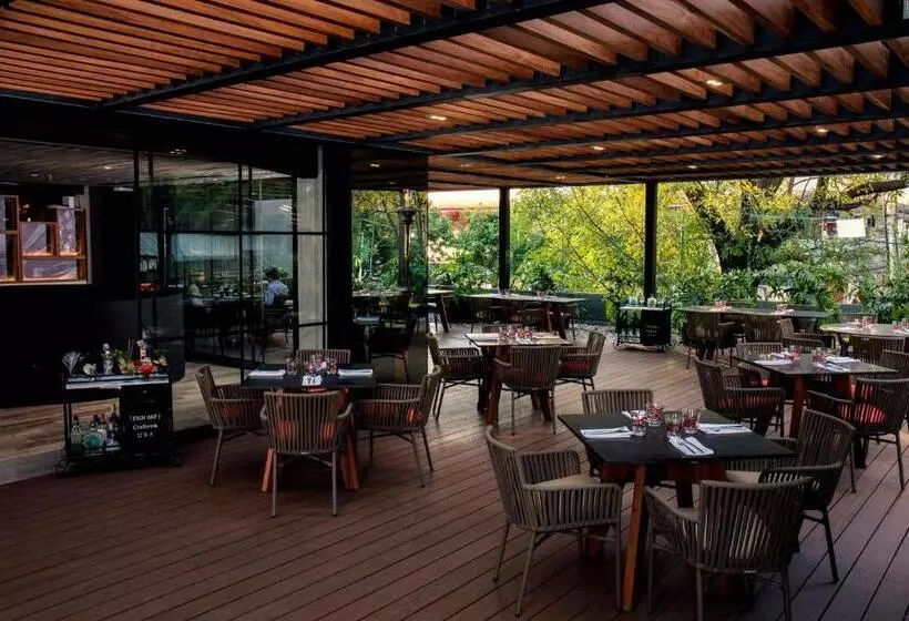 Fotos del hotel Krystal Grand Suites Insurgentes:  19