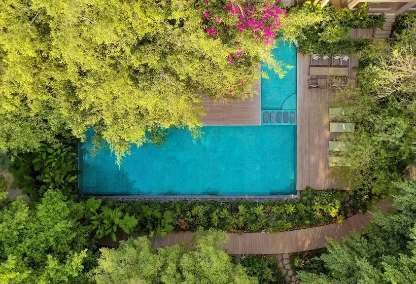 Fotos del hotel An Lam Retreats Saigon River:  2