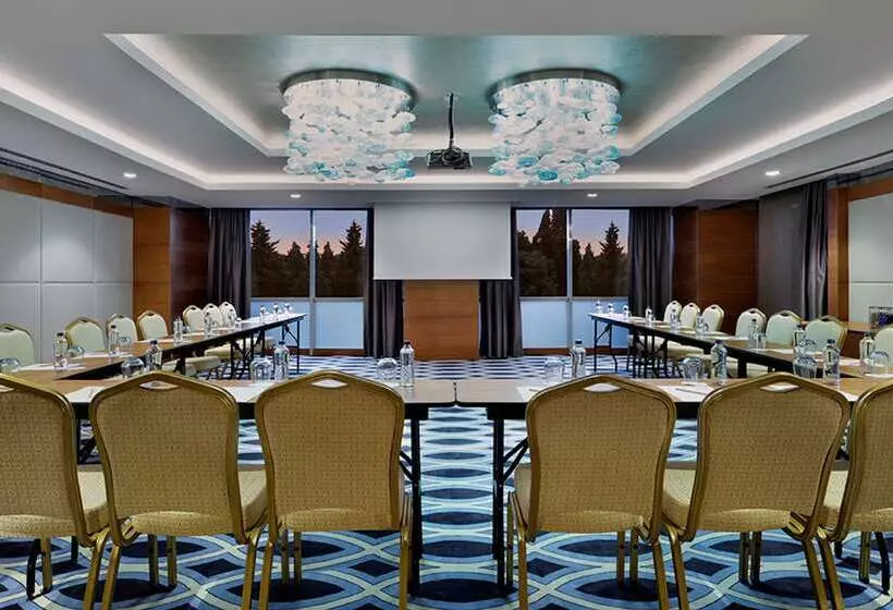 Fotos del hotel Doubletree By Hilton Istanbul Topkapi:  12