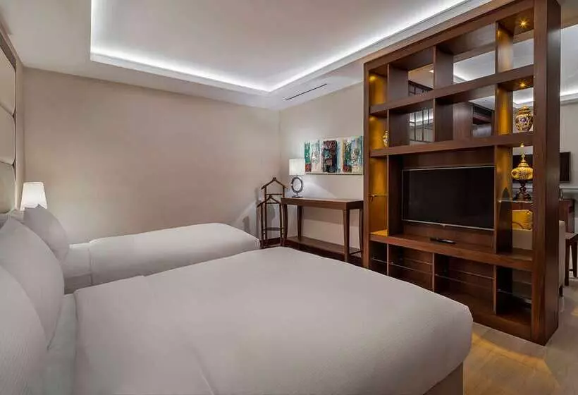 Fotos del hotel Doubletree By Hilton Istanbul Topkapi:  18