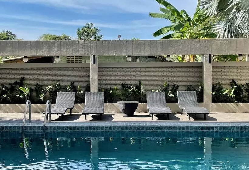 Garden Paradise