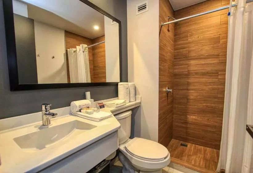 Fotos del hotel Bedford:  10