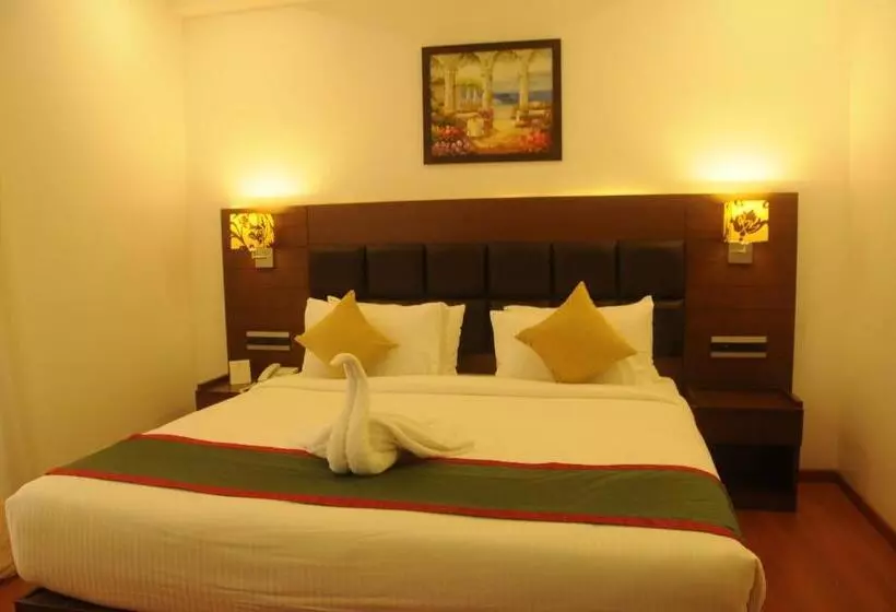 Fotos del hotel Nk Grand Park Airport:  16