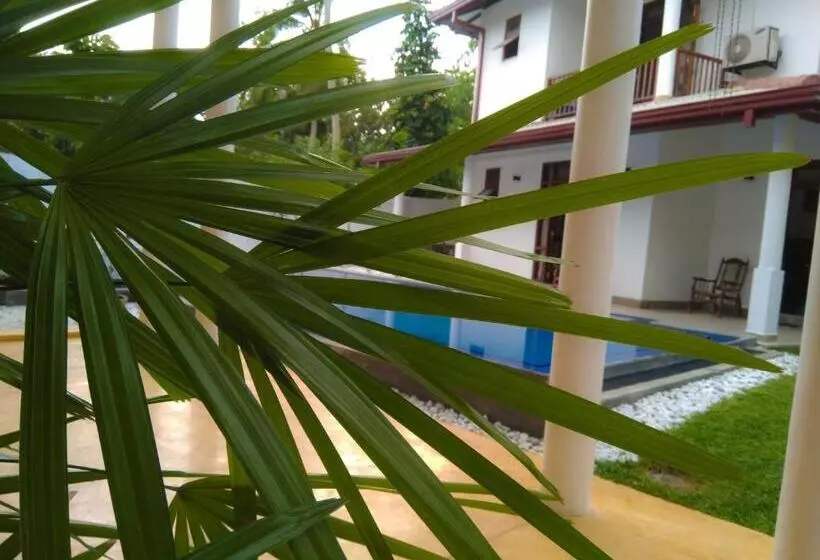 Fotos del hotel Galle Cemellia:  23