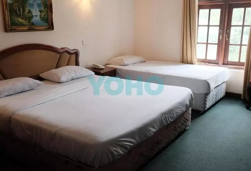 Fotos del hotel Alpine:  21