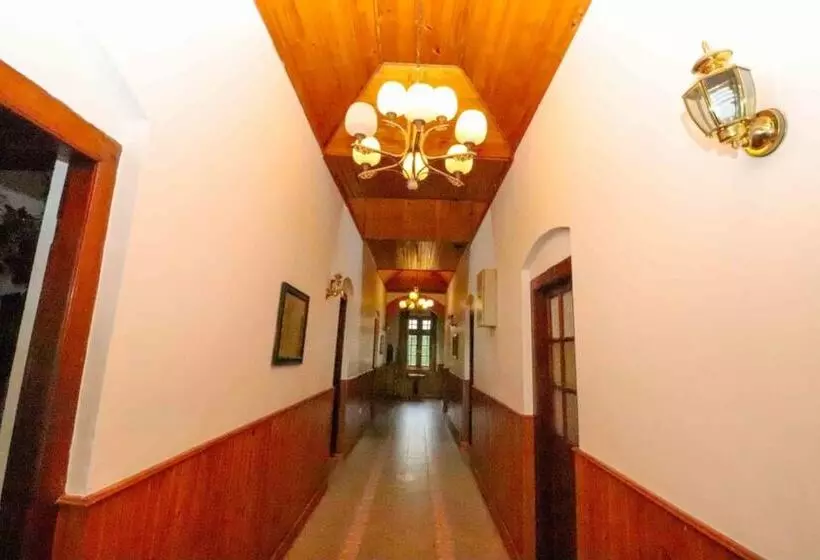 Fotos del hotel Alpine:  3