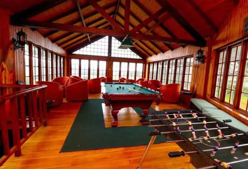 Fotos del hotel Alpine:  4