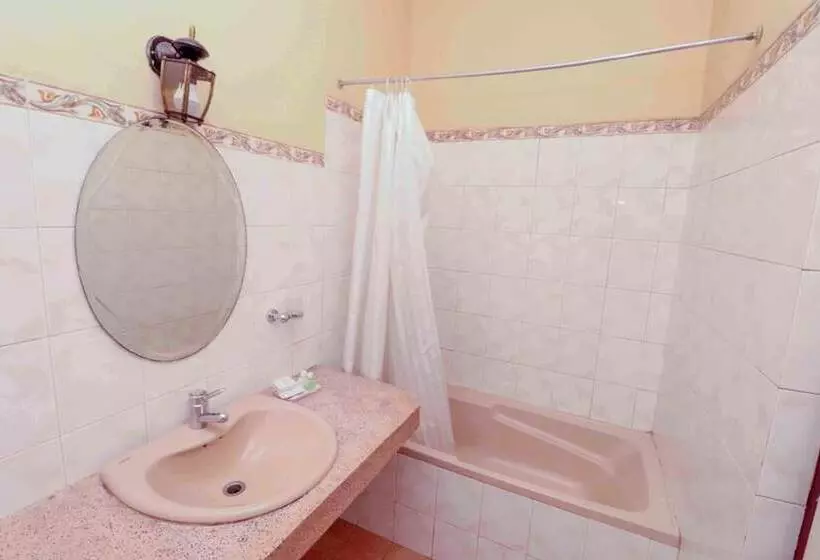 Fotos del hotel Alpine:  6