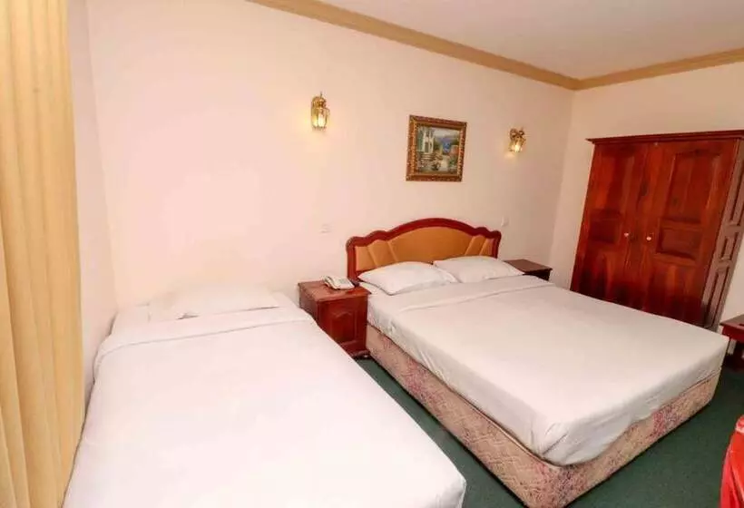 Fotos del hotel Alpine:  12