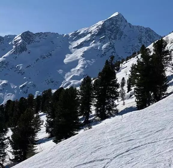 Fotos del hotel Alp Resort Tiroler Adler:  8
