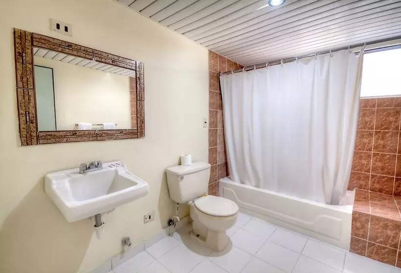 Fotos del hotel Apart Plaza Colonial:  6