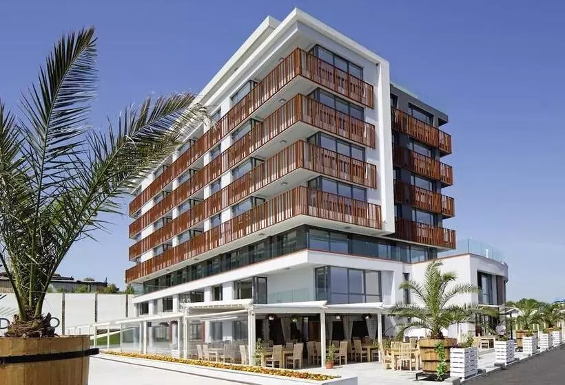 Fotos del hotel Aparthotel Paradiso:  15