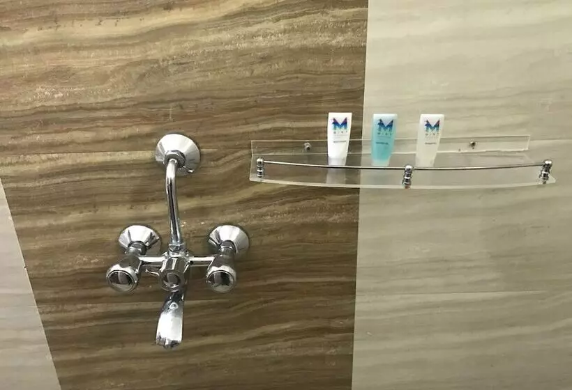 Fotos del hotel Elite Suites Mint Gomti Nagar:  8