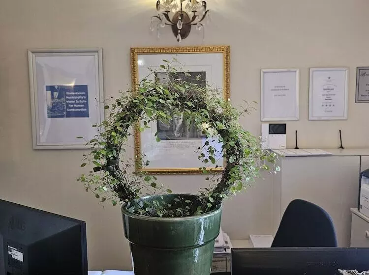 Fotos del hotel Baruch Guesthouse On Lovell:  15