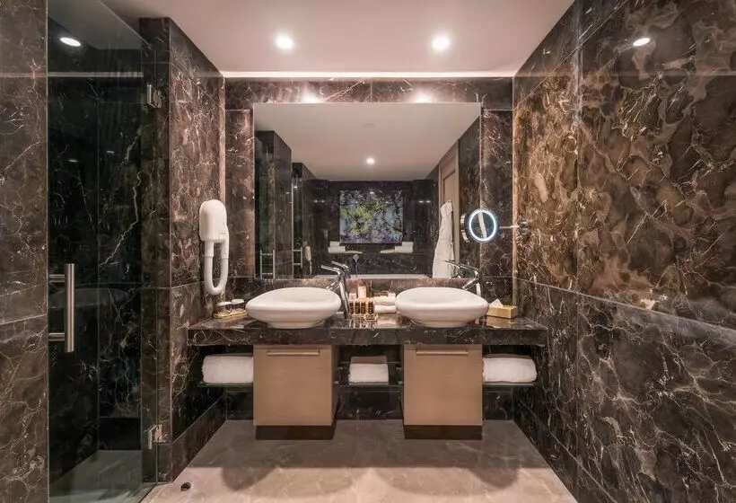 Fotos del hotel Concorde Luxury Resort & Casino & Convention & Spa:  47
