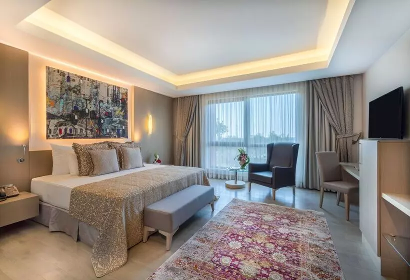 Fotos del hotel Concorde Luxury Resort & Casino & Convention & Spa:  243