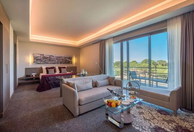 Fotos del hotel Concorde Luxury Resort & Casino & Convention & Spa:  374